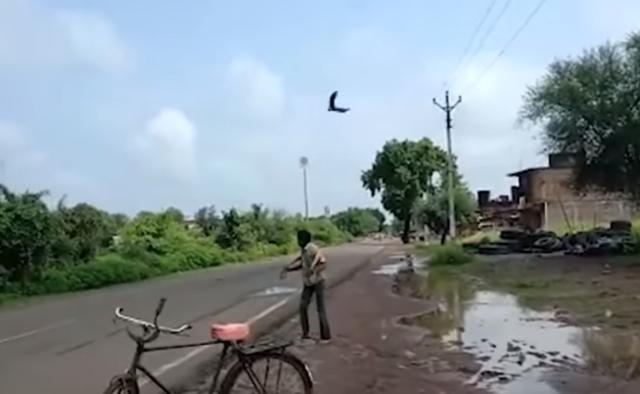 男子遭烏鴉追3年  當地人看他被攻擊當做日常娛樂